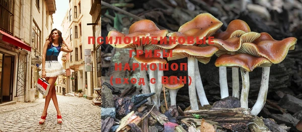 гидропоника Богородицк