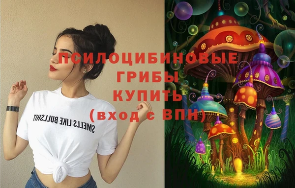ALPHA-PVP Богданович