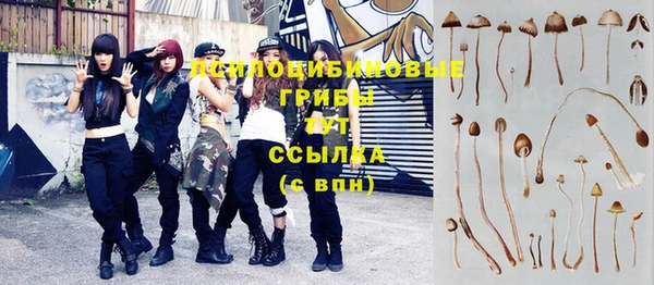 бутират Богородск