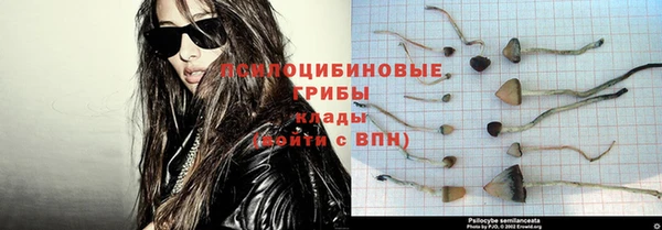 гидропоника Богородицк