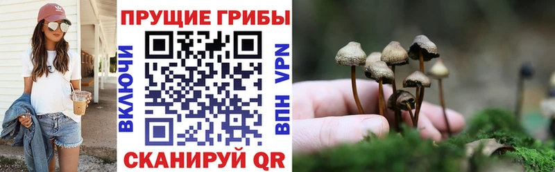купить закладку  Навашино  Галлюциногенные грибы мухоморы 
